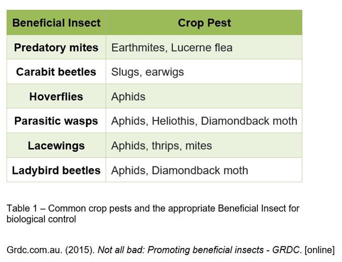 GRDC Promoting Beneficial Insects